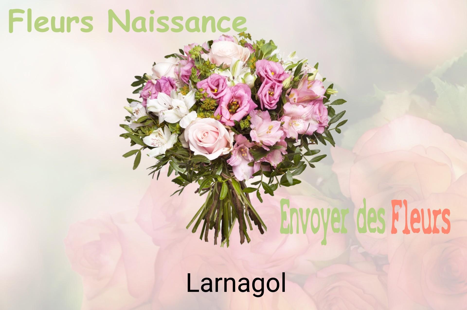 Bouquet de fleurs de naissance livré à Larnagol