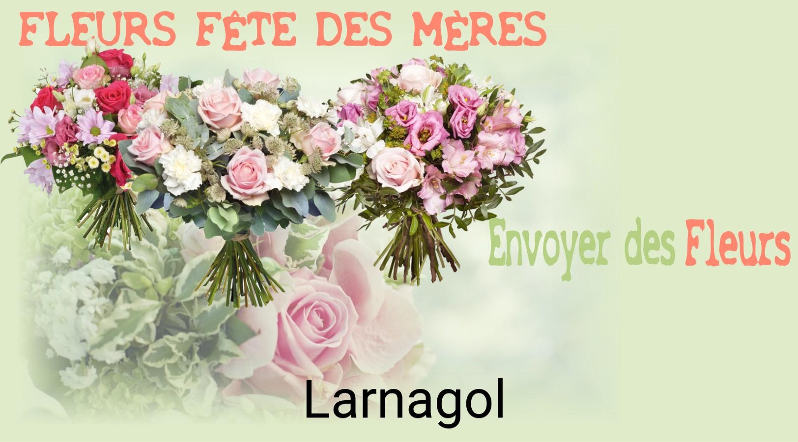 Bouquet de Fête des Mères livré à Larnagol
